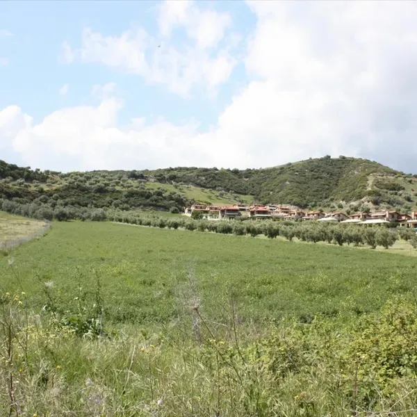 Земельный участок в Kassandra Municipality, фото 1