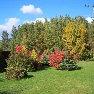 Отдельный дом в Вильнюс, фото 5
