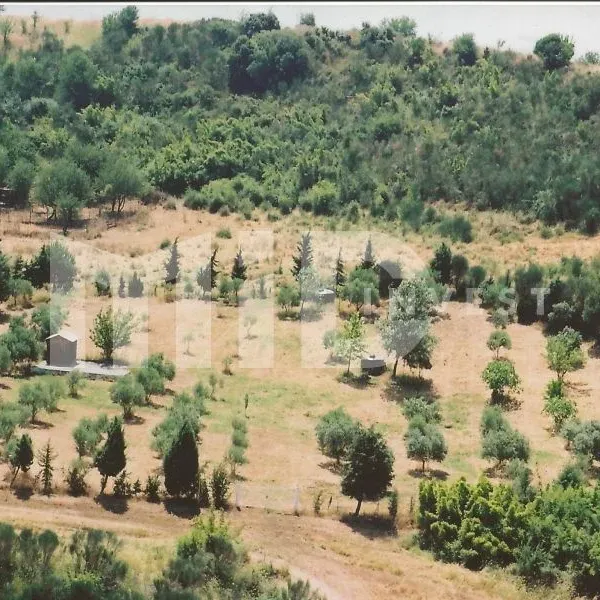 Земельный участок в Ситониа, фото 1