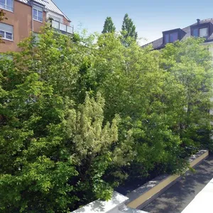 Квартира в Мюнхен, фото 4