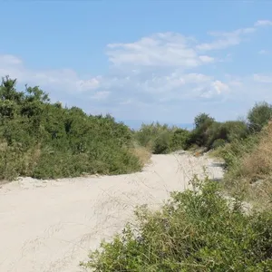 Земельный участок в Kassandra Municipality, фото 2