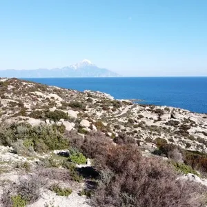 Земельный участок в Ситониа, фото 5