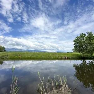 Дом в Улцинь, фото 2