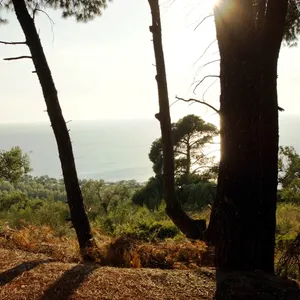 Земельный участок в Kassandra Municipality, фото 2