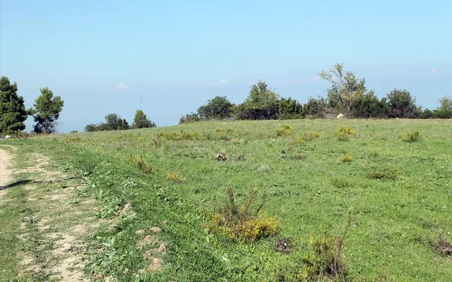 Земельный участок в Kassandra Municipality