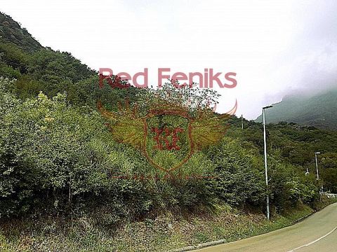 Земельный участок в Чань