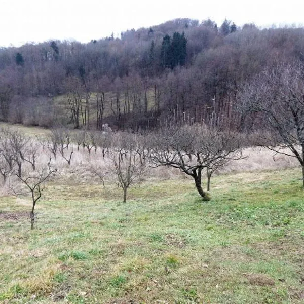 Дом в Марибор, фото 1