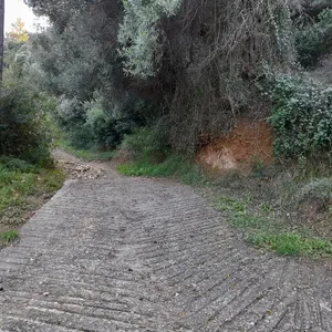 Земельный участок в Kassandra Municipality, фото 5