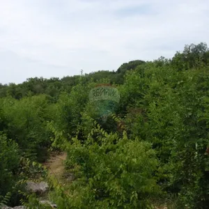 Земельный участок в Опатия, фото 3