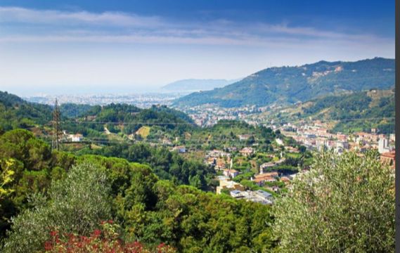 Земельный участок в Каррара