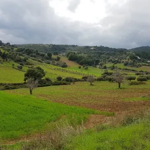 Земельный участок в Kassandra Municipality, фото 2