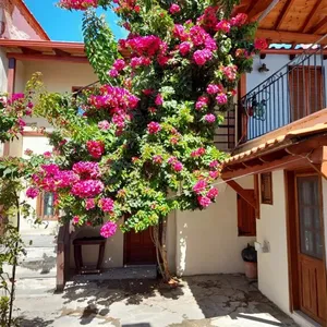 Отдельный дом в Ситониа, фото 3