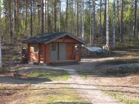 Земельный участок в Пункахарью