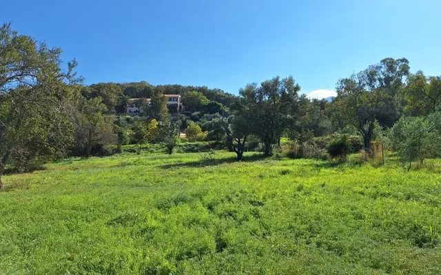Земельный участок в Corfu