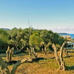 Земельный участок в Corfu, фото 2