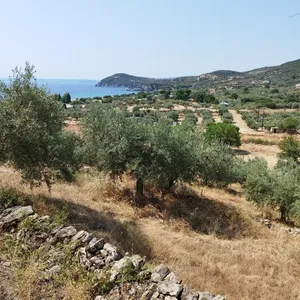 Земельный участок в Aristotle University of Thessaloniki, фото 2