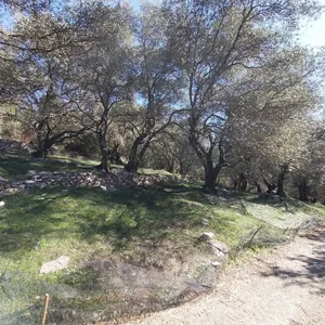 Земельный участок в Corfu, фото 2
