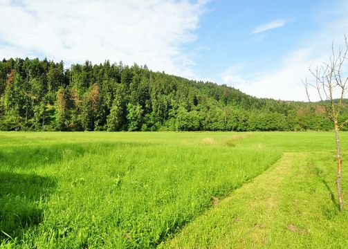 Земельный участок в Врхника