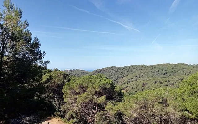 Земельный участок в Льорет-де-Мар