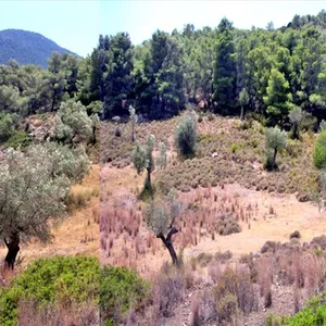 Земельный участок в Loutraki - Perachora, фото 4