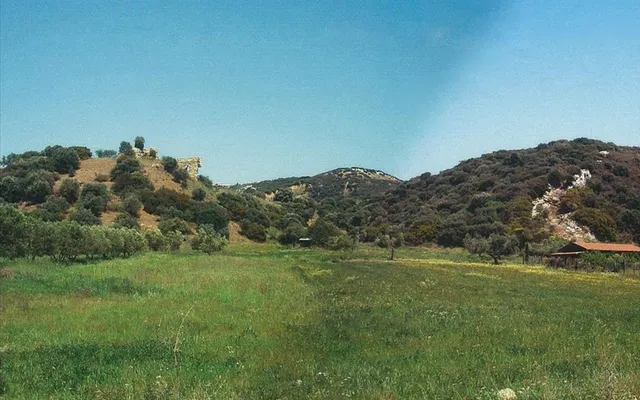 Земельный участок в Aristotle University of Thessaloniki