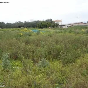 Земельный участок в Афины, фото 3