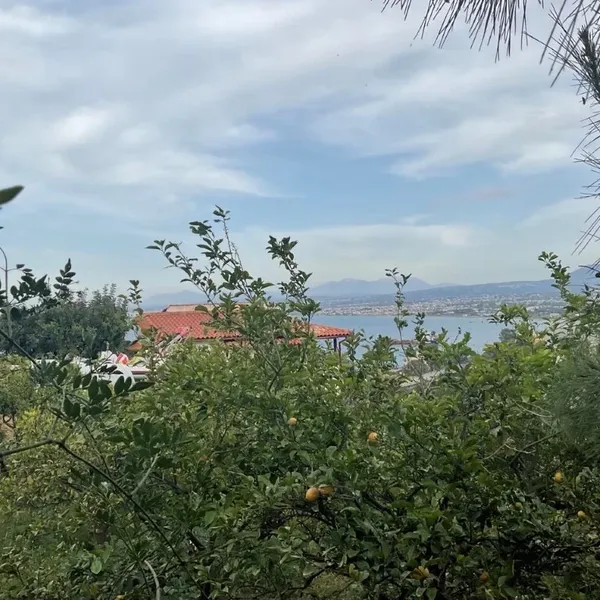 Земельный участок в Гази, фото 1