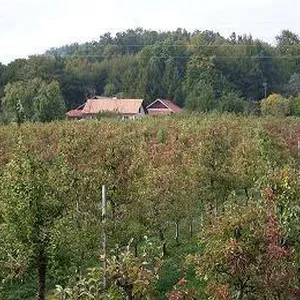 Дом в Криже, фото 3