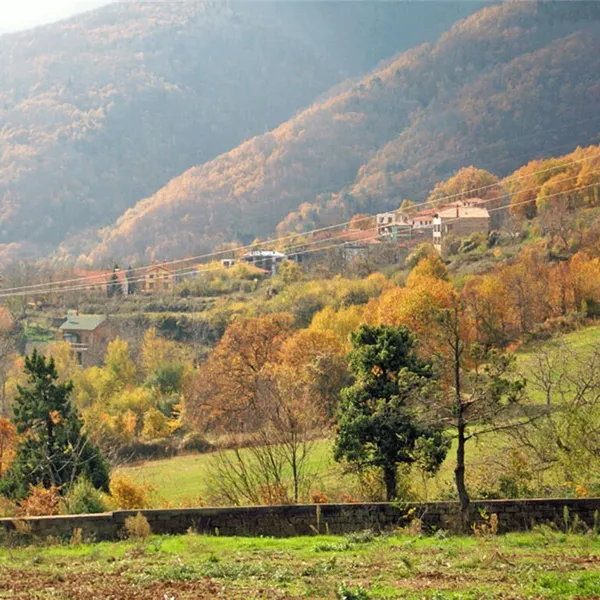 Земельный участок в Катерини, фото 1