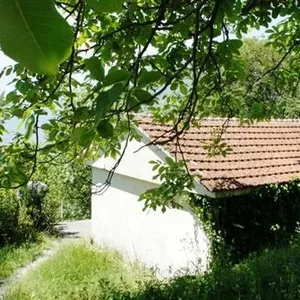Земельный участок в Доброта, фото 4