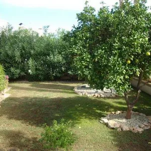 Вилла в Ориуэла, фото 5