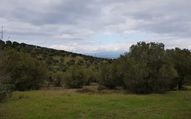 Земельный участок в Kassandra Municipality