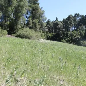 Земельный участок в Kassandra Municipality, фото 4