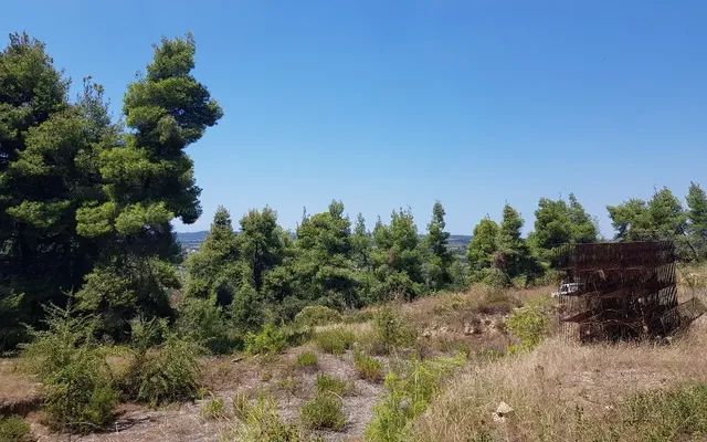Земельный участок в Kassandra Municipality