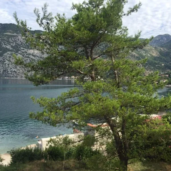 Квартира в Рисан, фото 1