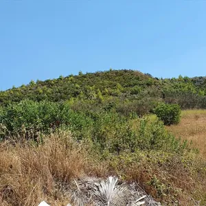 Земельный участок в Kassandra Municipality, фото 4