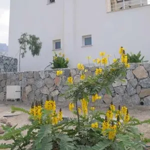 Квартира в Чаталкой, фото 4