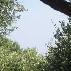 Земельный участок в Трагаки, фото 2