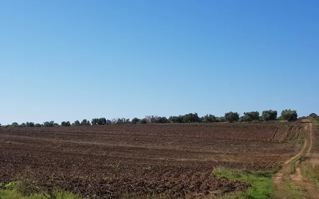 Земельный участок в Kassandra Municipality
