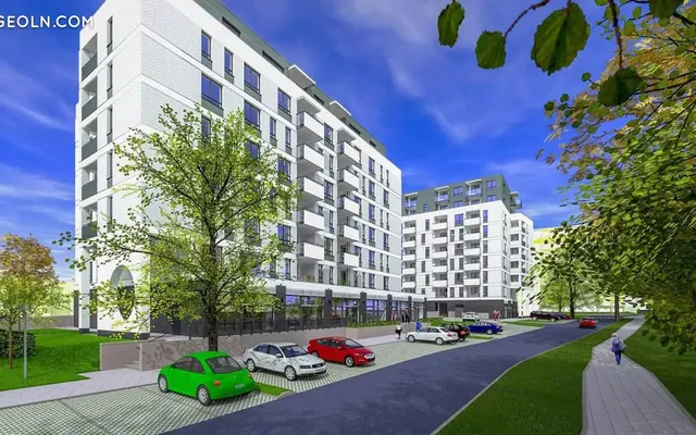 Platany in Kolobrzeg