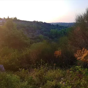 Земельный участок в Ситониа, фото 2