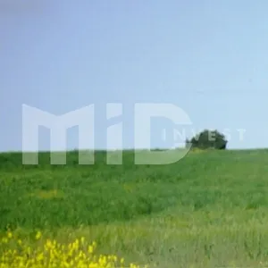 Земельный участок в Каллифея (Кассандра), фото 3