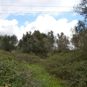 Земельный участок в Corfu, фото 4