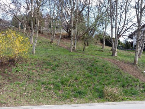 Земельный участок в Целе