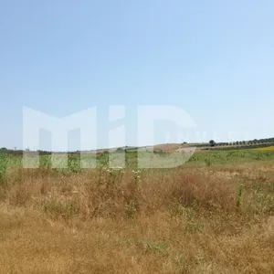 Земельный участок в Каллифея (Кассандра), фото 3