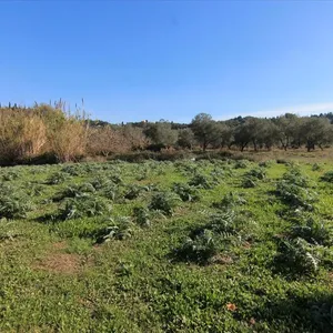 Земельный участок в Corfu, фото 2