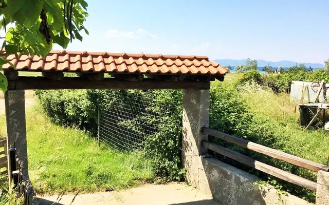 Отдельный дом в Aristotle University of Thessaloniki