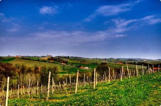 Дом в Марибор