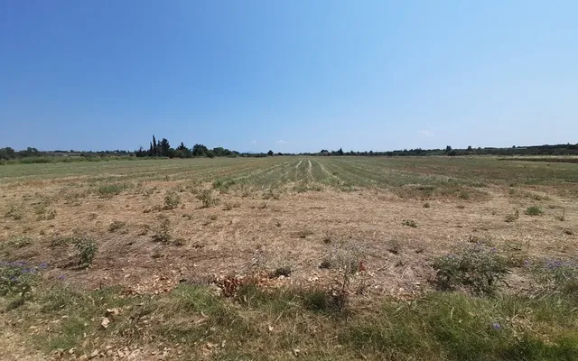 Земельный участок в Термайкос