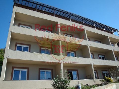 Квартира в Зеленика